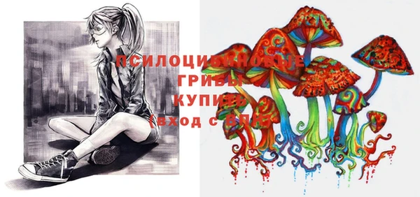 ПСИЛОЦИБИНОВЫЕ ГРИБЫ Лиски